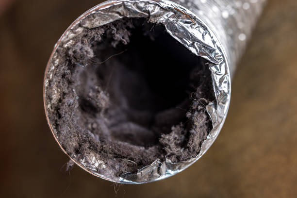 Best Affordable Duct Cleaning Services  in Lford, MI